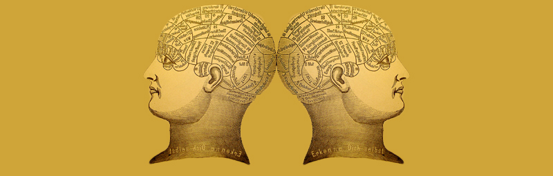 Image of 2 vintage brain maps on heads