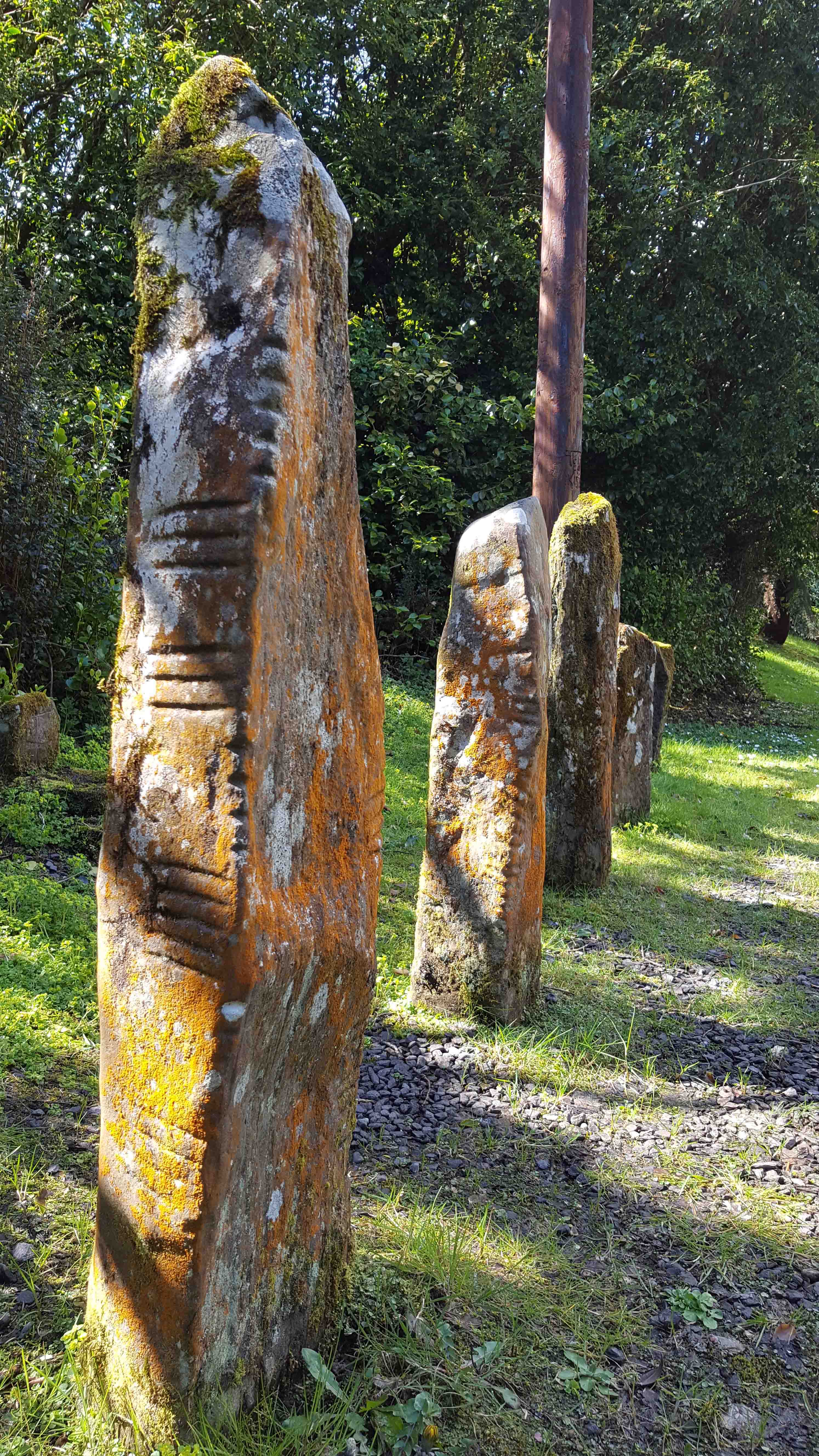 ogham stones from Ventry Ireland
